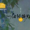【现货/赠加固包装】一个钢镚儿 | 普通版 | 预售礼齐全 | 葭霏 | 原耽 | 无删减 | BL