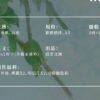 【现货/赠加固包装】一个钢镚儿 | 普通版 | 预售礼齐全 | 葭霏 | 原耽 | 无删减 | BL