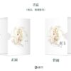 【現貨/赠加固包装】鳳雙飛 | 典藏版 | 林言 | 葭霏 | 原耽 | 无删减 | BL