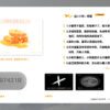 【前x/现货/赠加固包装】哨兵不乖 | 特签版 | 晒豆酱 | 田文 | 原耽 | 无删减 | BL
