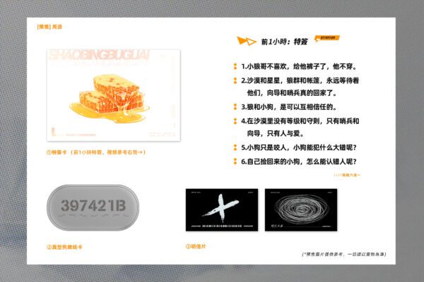 17388640831357 【前x/现货/赠加固包装】哨兵不乖 | 特签版 | 晒豆酱 | 田文 | 原耽 | 无删减 | BL