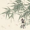 【通贩/现货/赠加固包装】贫僧 | 印特版 | 繁体横排 | 时镜 | 没谱 | 原耽 | 无删减 | BL