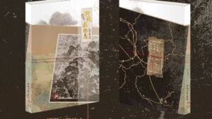 【預售/不需要補拍截圖/赠加固包装】野蛟戏傲鸟 | 特签版 | 简体横排 | 偶然记得 | 苏亭 | 原耽 | 无删减 | 不可合并其他品项书籍下单