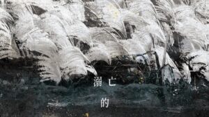【现货/赠加固包装】溺亡的無腳鳥 | 特簽版 | 茂山 | 旭儒 | 原耽 | 无删减 | BL