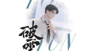 【現貨/赠加固包装】破雲(白封通路版) | 橫排 | 無番外無週邊 | 淮上 | 葭霏 | 原耽 | 无删减 | BL