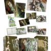 【現貨/赠加固包装】人渣反派自救系統 | 墨香銅臭 | 豎排 | 平心 | 原耽 | 无删减 | BL