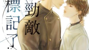【現貨/赠加固包装】我被勁敵標記了 | 醉茶熊 | 新月&邀月&藍海 | 原耽 | BL
