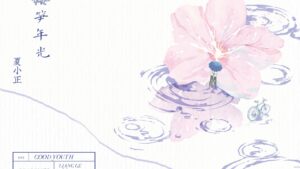 【預售/赠加固包装】櫻筍年光 | 樱笋年光 | 特簽版 | 夏小正 | 海棠 | 原耽 | BL | 不可合并其他品项书籍下单